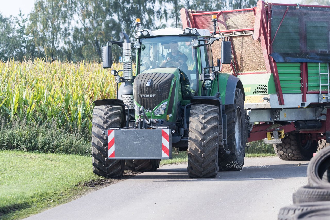 Bild 174 - Maisernte